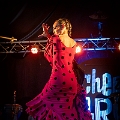 flamenco (75)